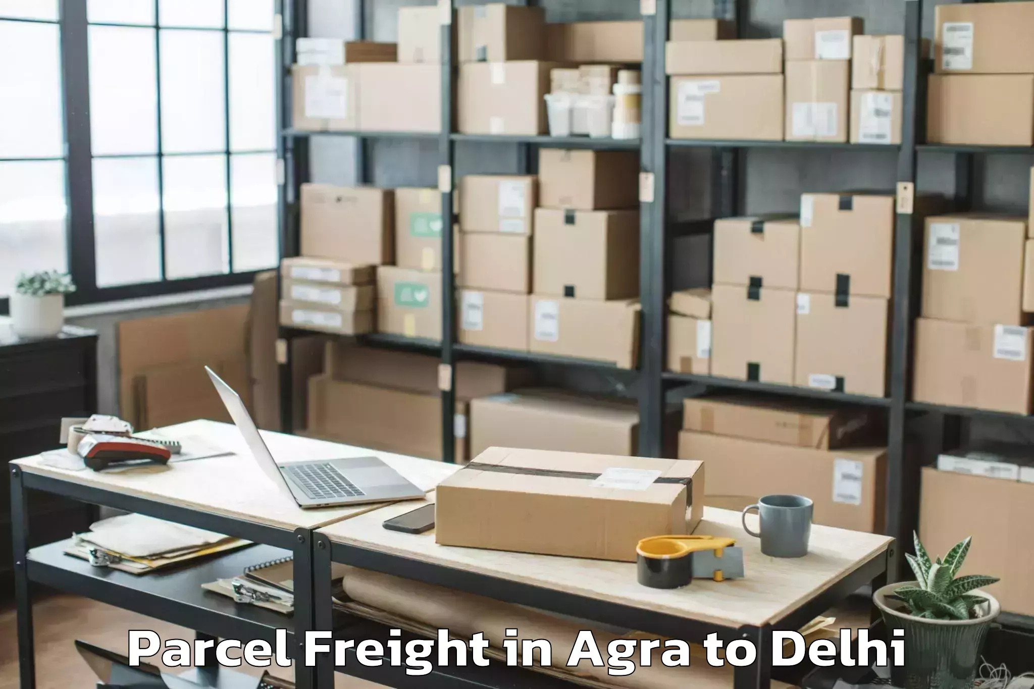 Professional Agra to Naraina Industrial Estate Parcel Freight